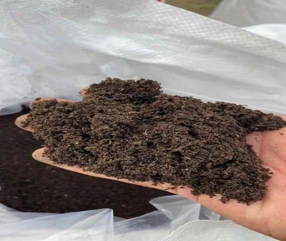 Seedica Organic Fertilizer