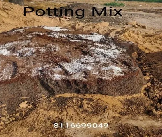 Potting Mix