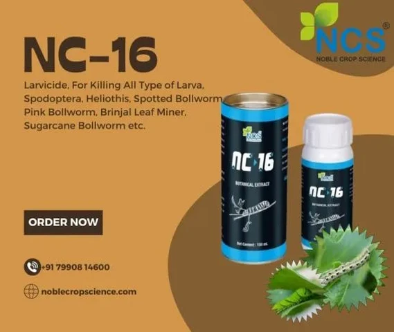 NC-16