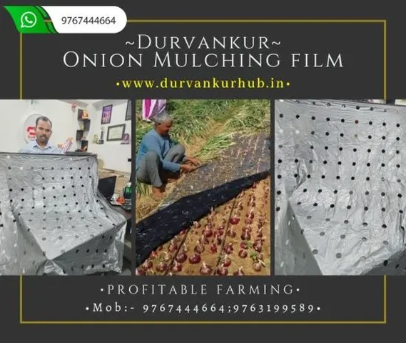 Onion Mulching Film