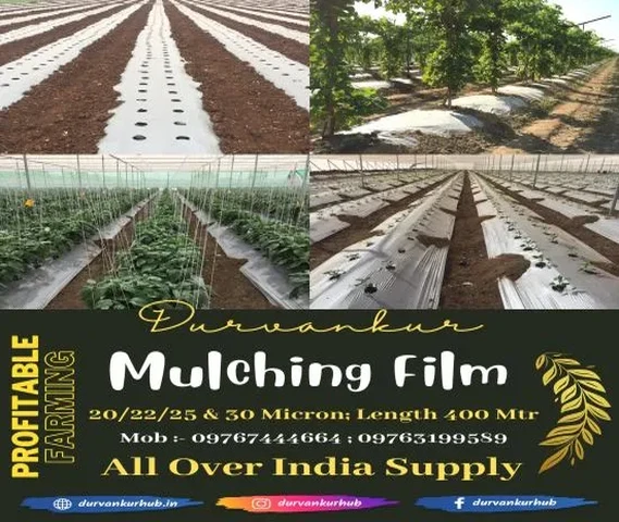 Premium Mulching Film