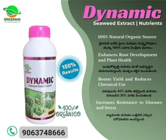 DYNAMIC Staweed Extract Liquid