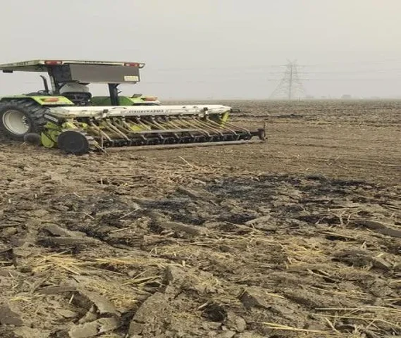 Super seeder sell 7 futta