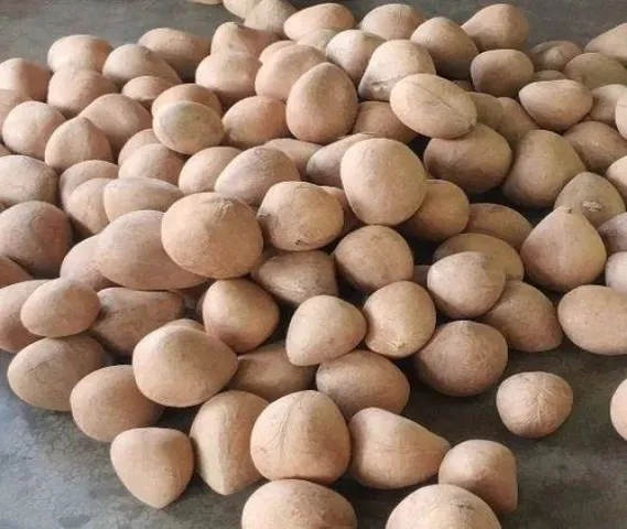 Dry coconut