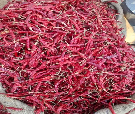 Dry Red Chilly