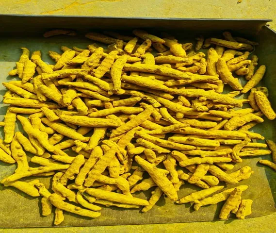 Dry Turmeric