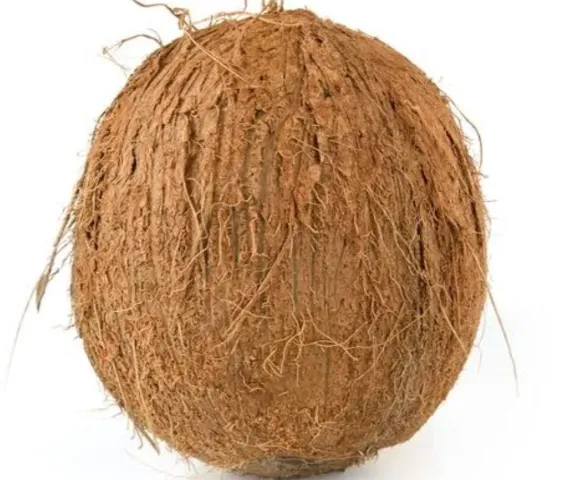 Coconut