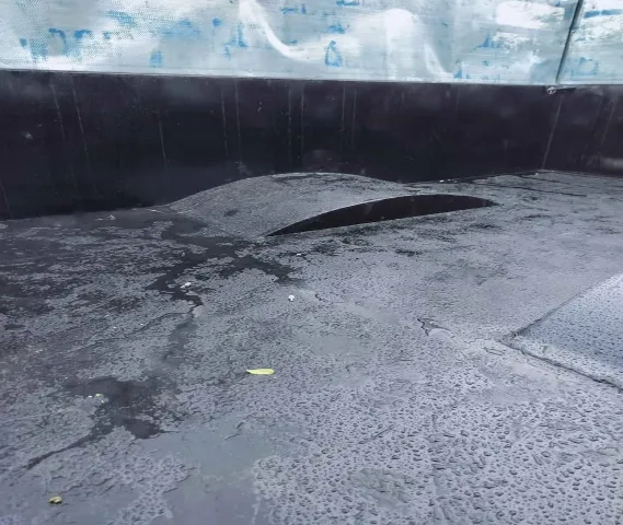 Punjab ki best  trolley