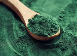 spirulina powder