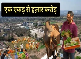 Dyaneshwar Bodke