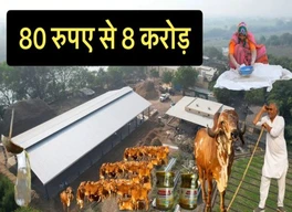 Shree Gir Gau Krushi Jatan Sansthan