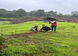Farm house plot for sale