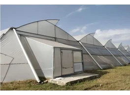 Best Polyhouse Farming Scheme for Indian Farmer